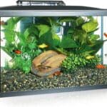 Best 10-Gallon Fish Tank & Aquarium Kits (Top 5 Picks)