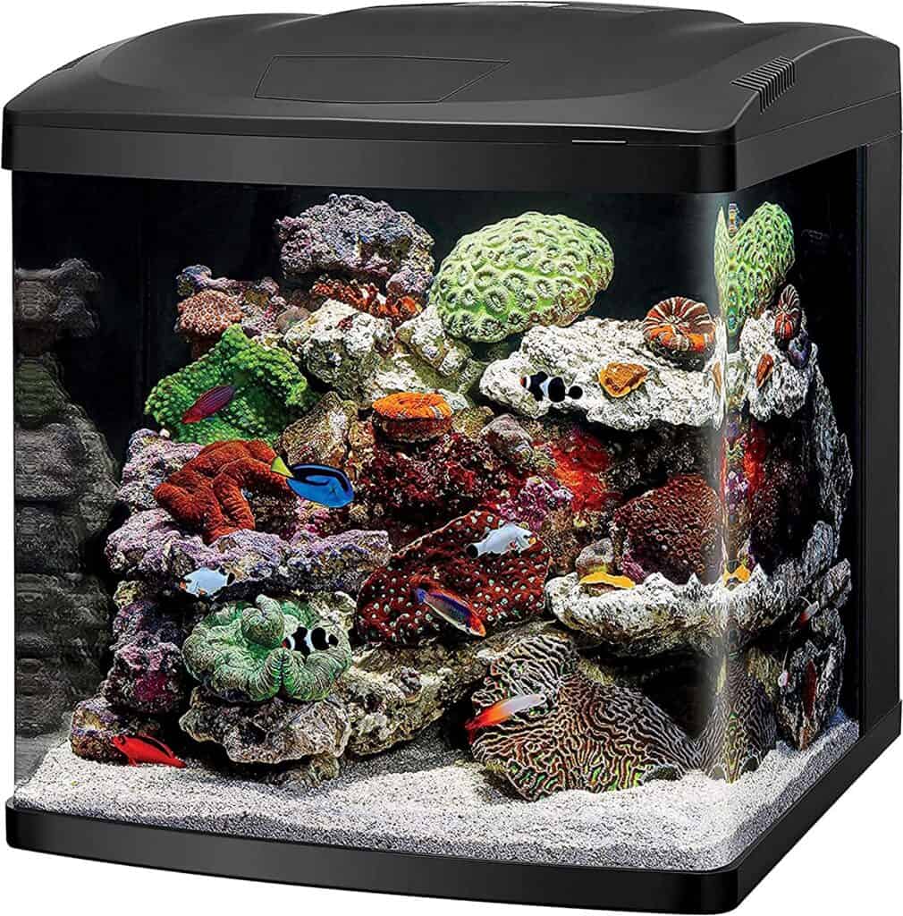 Best 30Gallon Fish Tanks (Top 5 Picks) Memfish dot net
