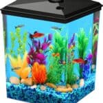 Best 2.5 and 3 Gallon Fish Tanks for Small Spaces