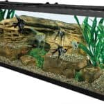 Best Large Volume Fish Tanks To Brighten Up Your Home